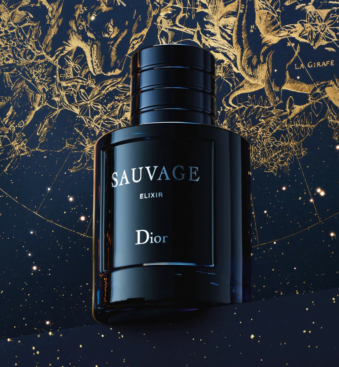 sauvage elixir sauvage elixir