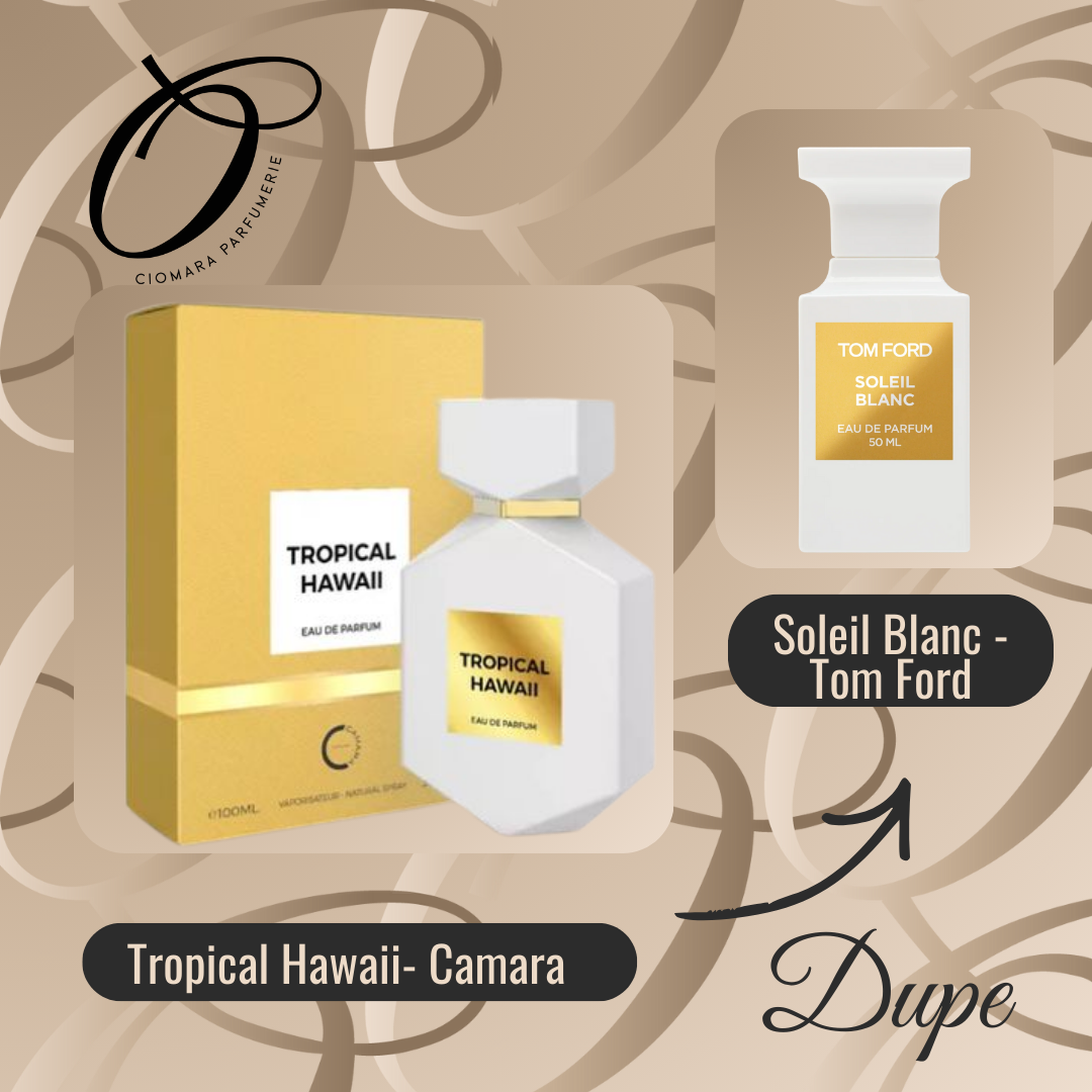 tropical hawaii tropical hawaii