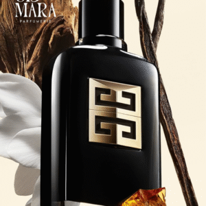Ciomara Perfumeria gentleman society ambrée