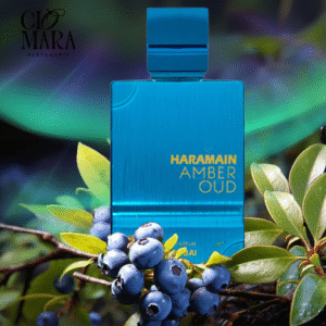 amber oud aqua dubai